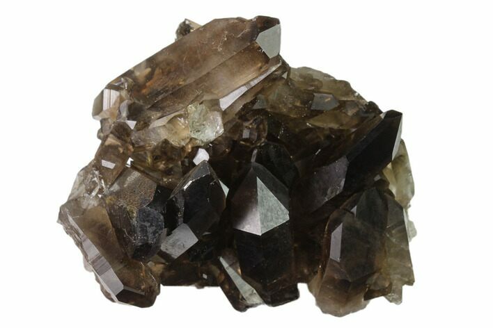 Dark Smoky Quartz Crystal Cluster - Brazil #137826